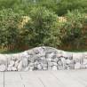 Arched Gabion Baskets 15 pcs 200x30x4060 cm Galvanised Iron Size 200 x 30 x 40/60 cm Quantity in Package 15 