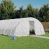 Greenhouse with Steel Frame White 90 m² 18x5x2.3 m Colour white Size 18 x 5 x 2.3 m Quantity in Package 1 