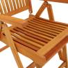 Folding Garden Chairs with Footrests - 2 pcs Solid Wood