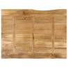 Live Edge Solid Wood Mango Table Top | 100x80 cm