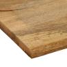 Live Edge Solid Wood Mango Table Top | 100x80 cm