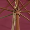 Garden Parasol with Wooden Pole - Bordeaux Red 400x273 cm