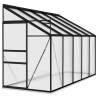 Anthracite Aluminium Greenhouse - Spacious 6.5 m³ | HipoMarket