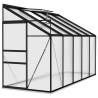 Anthracite Aluminium Greenhouse - Spacious 6.5 m³ | HipoMarket