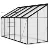 Anthracite Aluminium Greenhouse - Spacious 6.5 m³ | HipoMarket