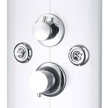 Stylish Shower Panel Unit 25x43x120 cm in Silver | HipoMarket