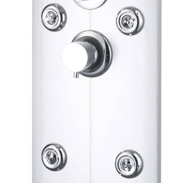 Stylish Shower Panel Unit 25x43x120 cm in Silver | HipoMarket