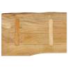 Live Edge Solid Wood Mango Table Top - 70x40 cm | HipoMarket