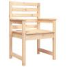 Garden Chairs 2 pcs Solid Wood Pine - Comfort & Style