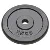 Weight Plates Set of 4 - 4 x 7.5 kg Cast Iron | HipoMarket