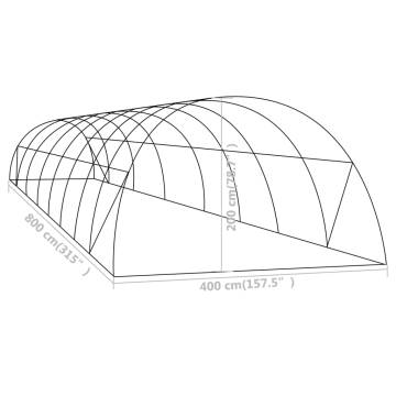 32 m² Greenhouse - 8x4x2 m - Durable & Spacious | HipoMarket