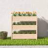 Planter 112x25x104.5 cm Solid Wood Pine - Hipomarket UK