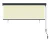 Outdoor Roller Blind 170x250 cm Cream - Stylish & Functional