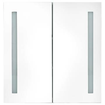 LED Bathroom Mirror Cabinet 60x14x62 cm - Stylish Storage