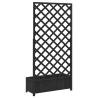 Black Solid Wood Fir Planter with Trellis | HipoMarket UK