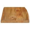 Live Edge Solid Wood Mango Table Top | 50x40x2.5 cm