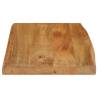 Live Edge Solid Mango Wood Table Top 70x40cm - HipoMarket