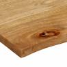 Live Edge Solid Wood Mango Table Top - 100x60x3.8 cm