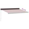 Manual Retractable Awning Burgundy 300x250 cm | HipoMarket