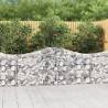 Arched Gabion Baskets 20 pcs 200x30x80100 cm Galvanised Iron Size 200 x 30 x 80/100 cm Quantity in Package 20 