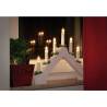 Ambiance Bridge Christmas Candle Light with 7 LEDs - White