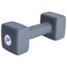 Pure2Improve 6 kg Neoprene Dumbbell - Fitness Accessory