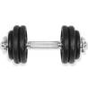 18 Piece Dumbbell Set 30 kg Cast Iron - HipoMarket