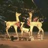 Reindeer Family Christmas Decoration Gold 201 LEDs Colour gold Quantity in Package 1 Number of LEDs 