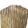 Garden Reed Fence 125x1000 cm | Natural & Versatile