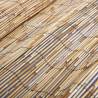 Garden Reed Fence 125x1000 cm | Natural & Versatile