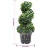 Artificial Boxwood Spiral Plant with Pot - 59 cm Green