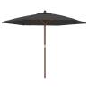 Garden Parasol with Wooden Pole Anthracite - 299x240 cm