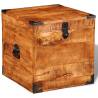 Handmade Storage Chest - Cubic Rough Mango Wood