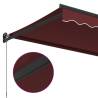 Manual Retractable Awning Burgundy 300x250 cm | Hipomarket