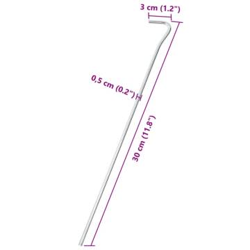 Tent Pegs 25 pcs 30 cm Ø5 mm Galvanised Steel - Hipomarket