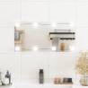 Wall Mirror with LED Lights 30x60 cm Glass Rectangle Size 30 x 60 cm Quantity in Package 1 Model with leds 