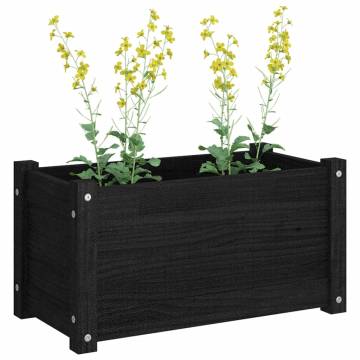 Garden Planters - 2 pcs Black Solid Pinewood | HipoMarket