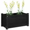 Garden Planters - 2 pcs Black Solid Pinewood | HipoMarket