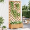 Planter with Trellis - Brown Solid Wood Fir | HipoMarket