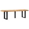 Bench 160 cm Solid Mango Wood & Steel | Industrial Style