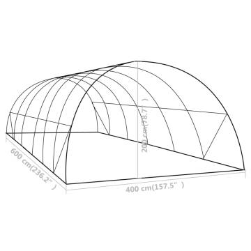 Greenhouse 24 m² 6x4x2 m - Perfect for Hobby Gardening