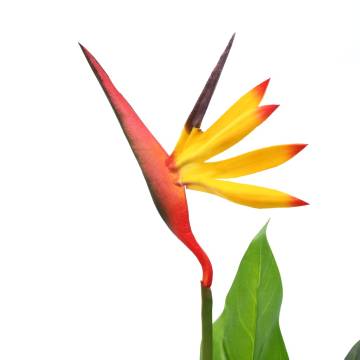 Artificial Strelitzia Reginae Plant - 66 cm Bird of Paradise