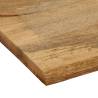 Live Edge Solid Wood Mango Table Top - 110x80 cm