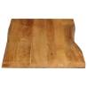 Live Edge Solid Wood Mango Table Top - 120x60x2.5 cm