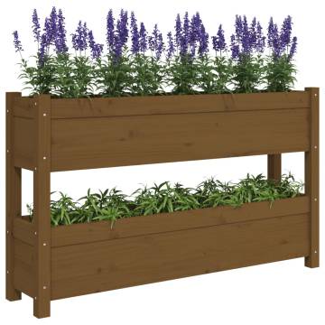 Honey Brown Solid Wood Planter - 112x25x66 cm | Hipo Market