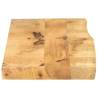 Live Edge Solid Mango Wood Table Top - 120x30 cm