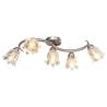  Ceiling Lamp with Transparent Glass Shades for 5 E14 Bulbs Tulip Quantity in Package 1 Bulb Quantity 5 Shape tulip 