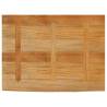 Live Edge Mango Wood Table Top - 90x60 cm | Hipo Market