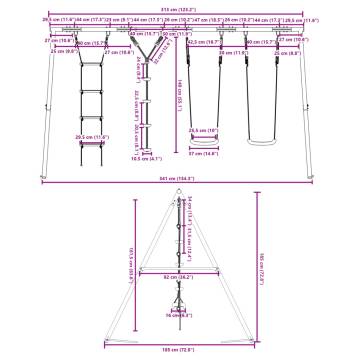 Outdoor Swing Set with Swings, Ladder & Disc Swing - HipoMarket