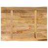 Live Edge Solid Wood Table Top - 70x60 cm | HipoMarket